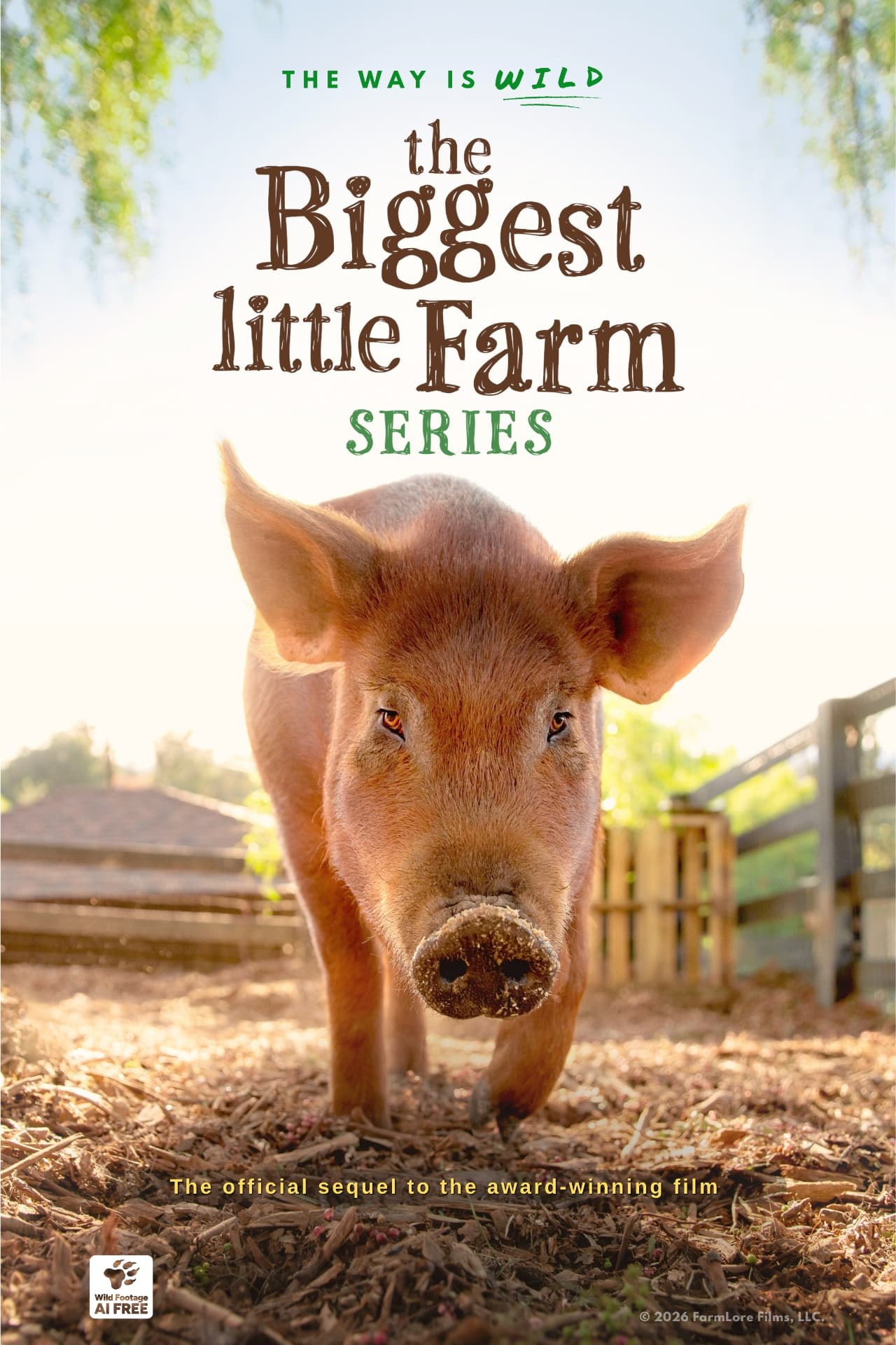 The Biggest Little Farm Series poster featuring a pig at Apricot Lane Farms